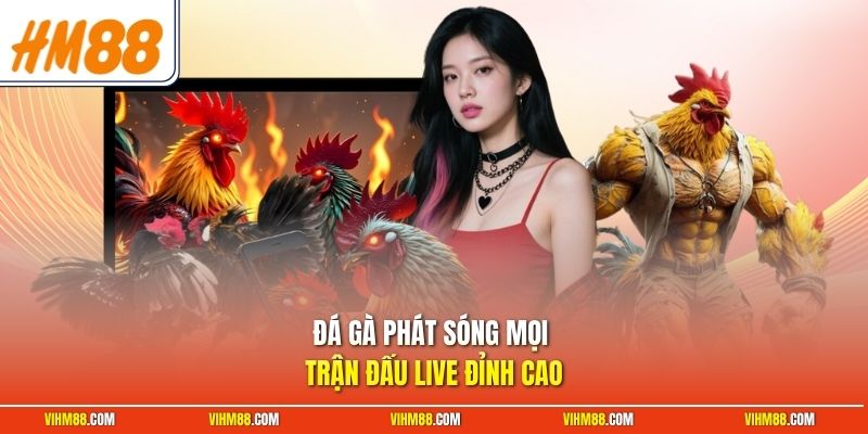Đá gà phát sóng mọi trận đấu live đỉnh cao